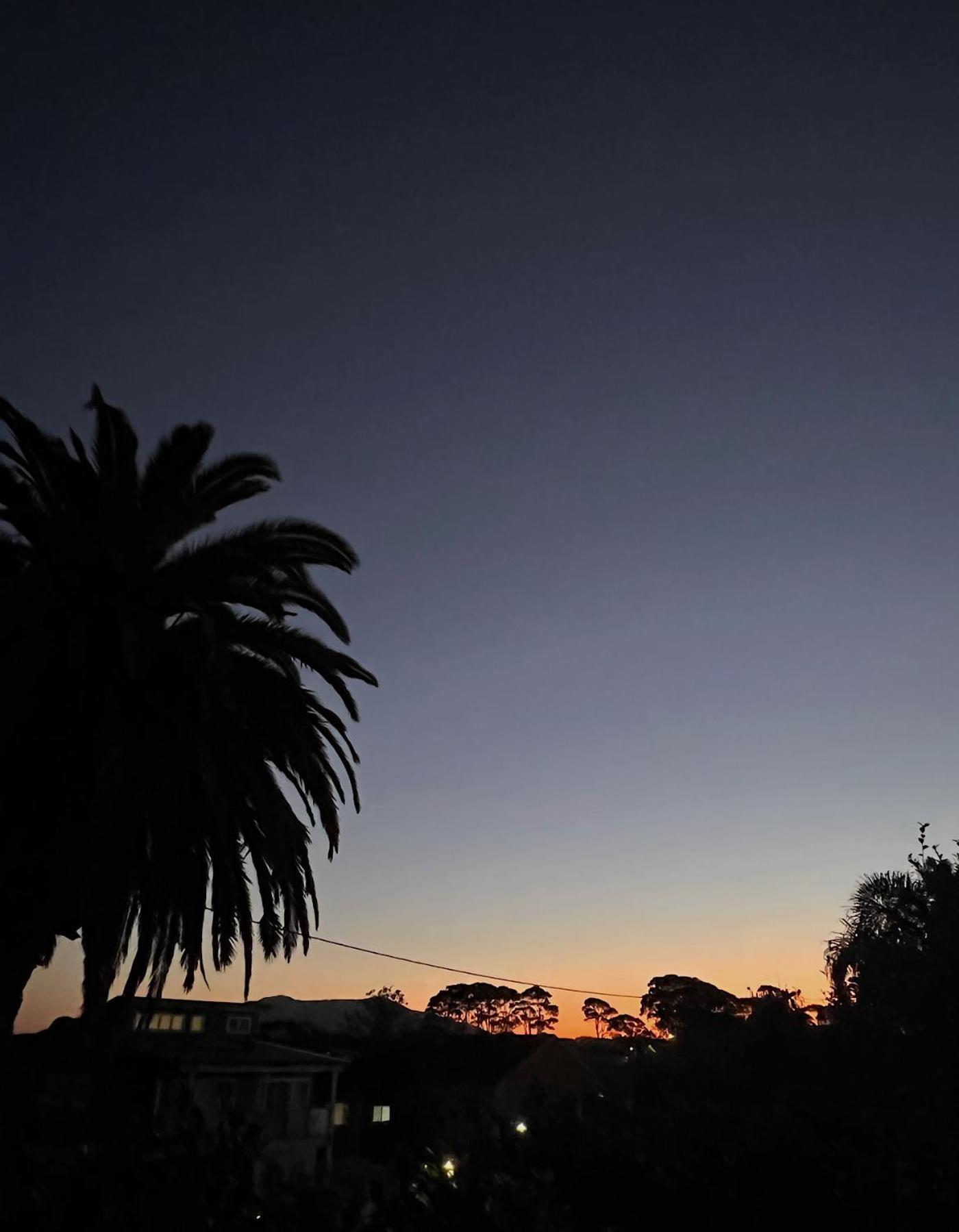 Narooma Palms Holiday Apartments Exterior foto